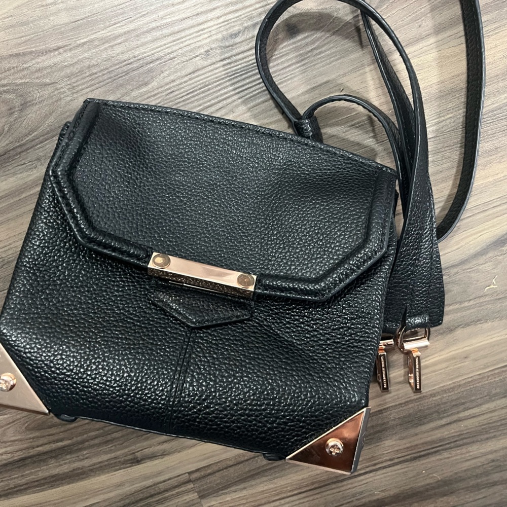 Alexander Wang prism crossbody bag.
